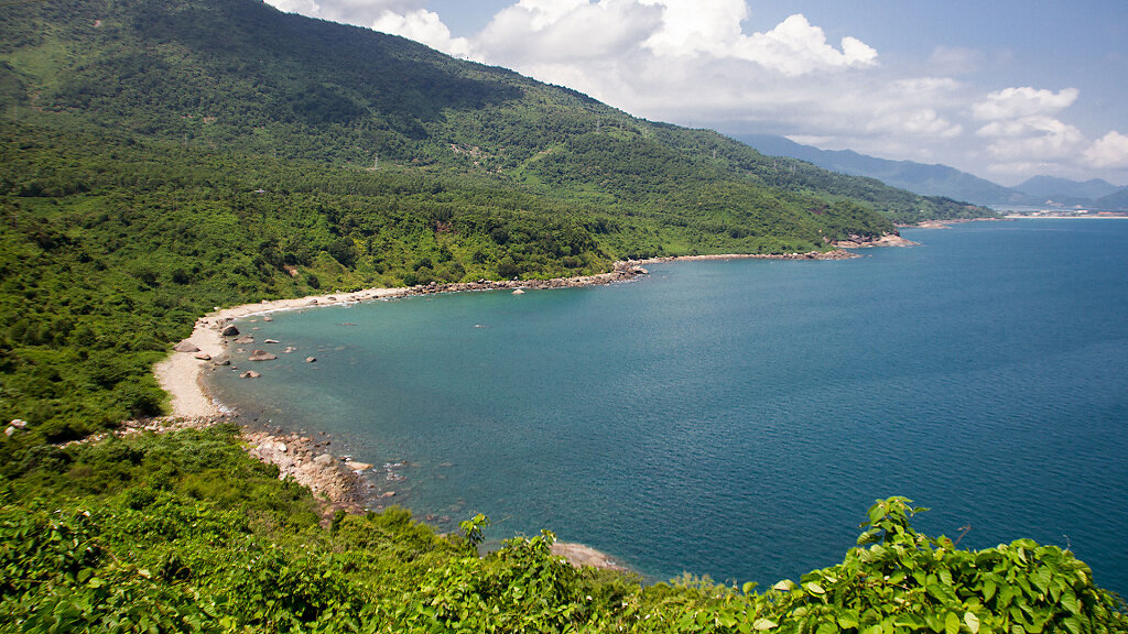 IMG-4503.jpg