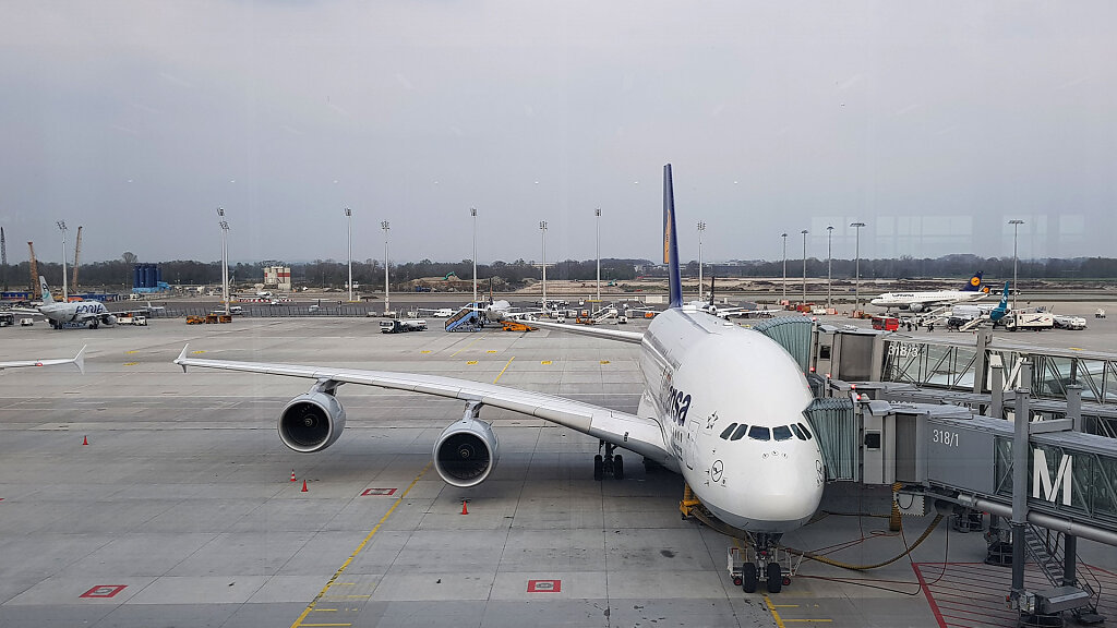 PEK-0003g.jpg