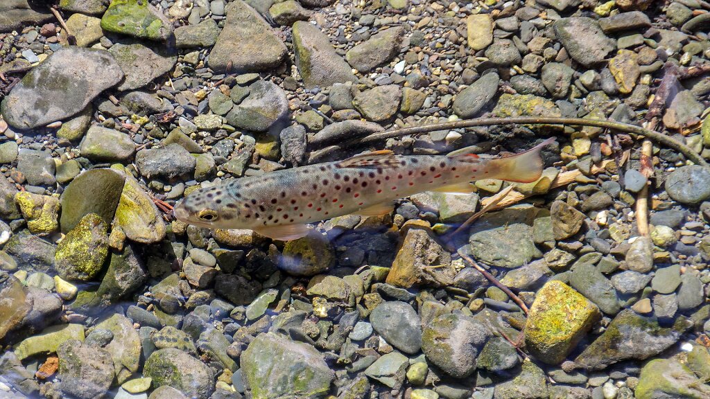 20200820135056-HRZ-0051.jpg