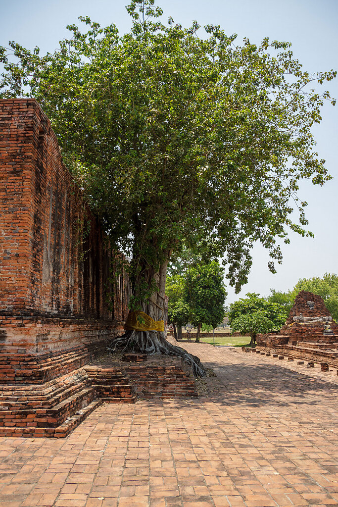 20220415-124418-THA-5783-HDR.jpg
