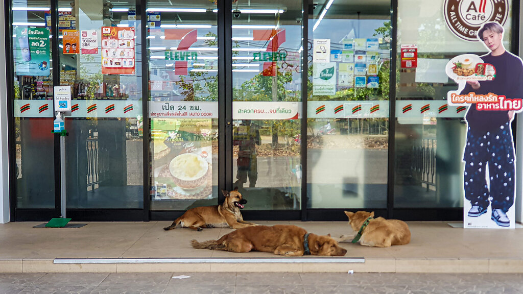 7-Eleven สาขา เขื่อนรัชชประภา (เชียวหลาน) (16520)