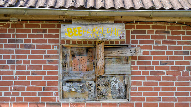 20230910-134718-DSC-5403.jpg